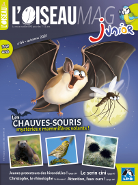 Couverture de l'OISEAU MAG JUNIOR n°44